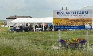 Suncrest College Welcomes Public to Field Day
