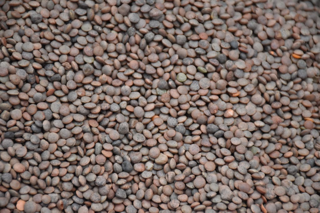 High-resolution image of brown lentils, showcasing detailed texture and color variation.