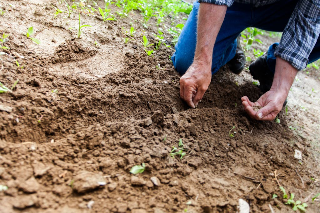 Farmers’ input needed for soil health survey